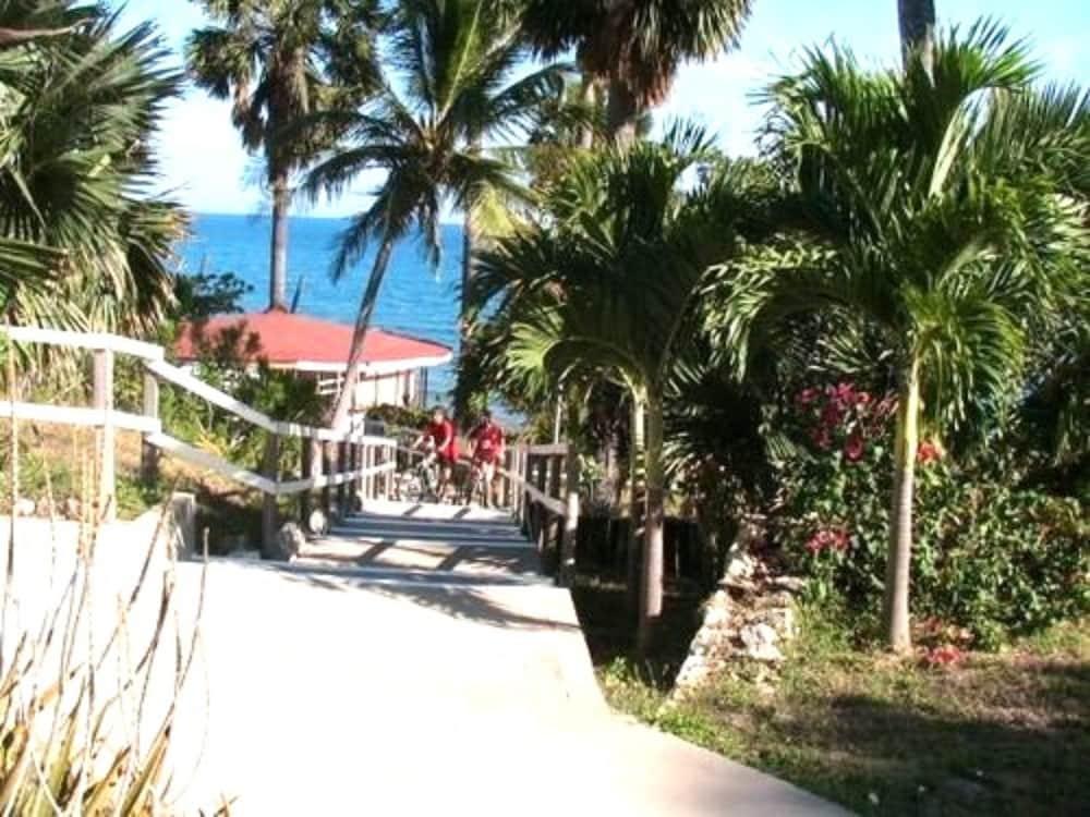 Treasure Beach Hotel Φύση φωτογραφία