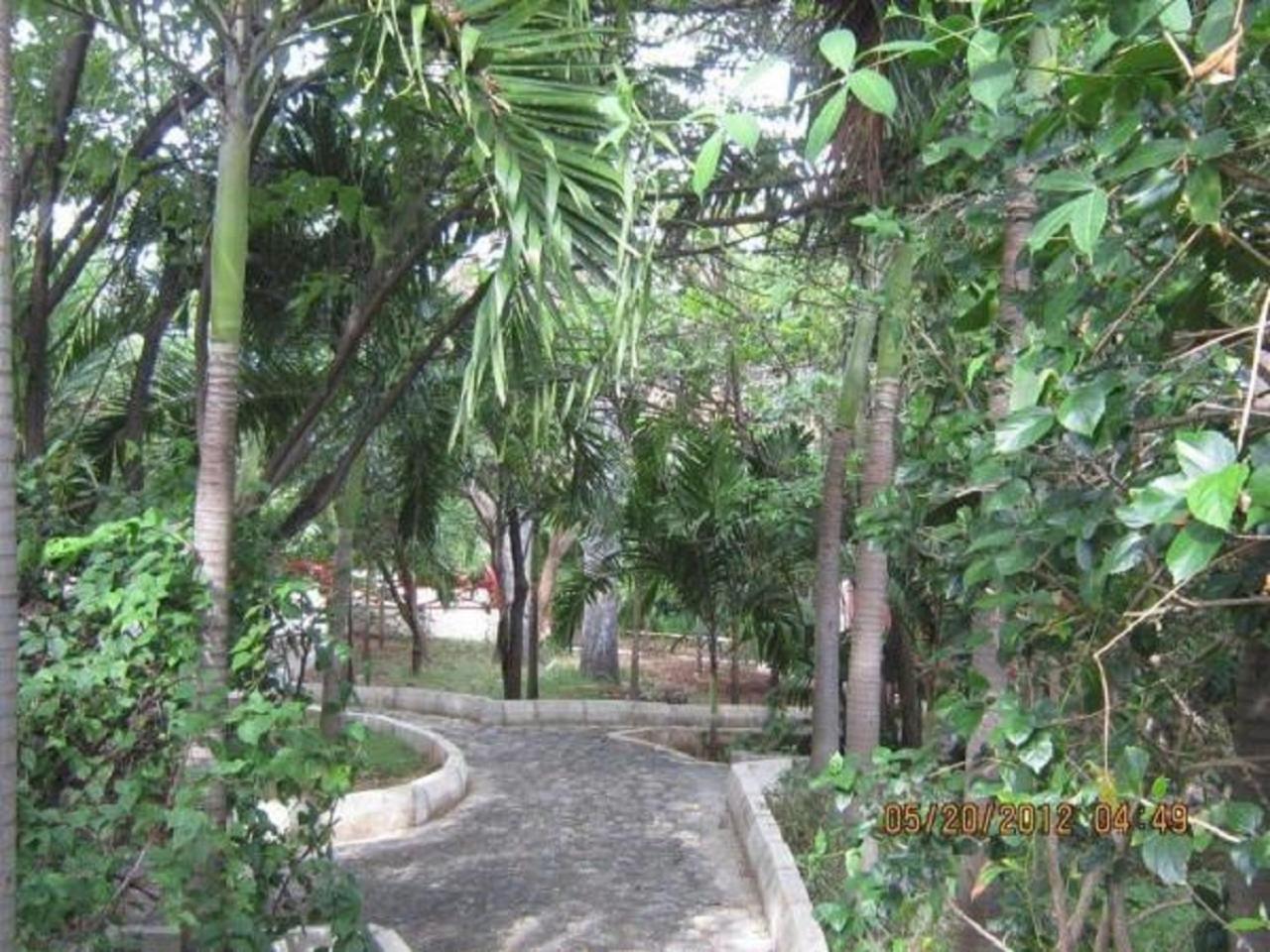 Treasure Beach Hotel Εξωτερικό φωτογραφία